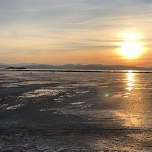 Meet your Posher, Caspar